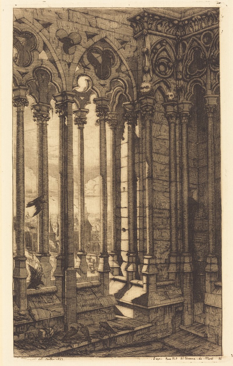 A Galeria de Notre-Dame, Paris (The Gallery of Notre Dame, Paris) de Charles Meryon