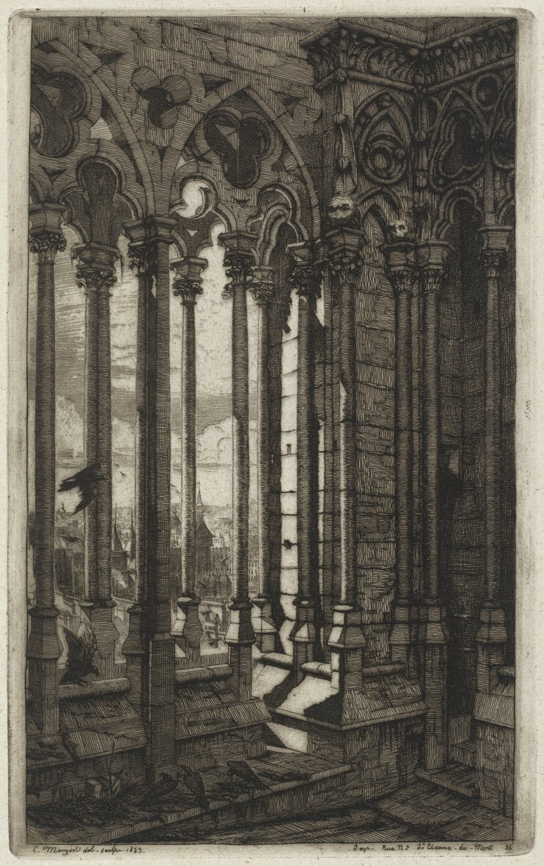 A Galeria de Notre-Dame, Paris (The Gallery of Notre Dame, Paris) de Charles Meryon