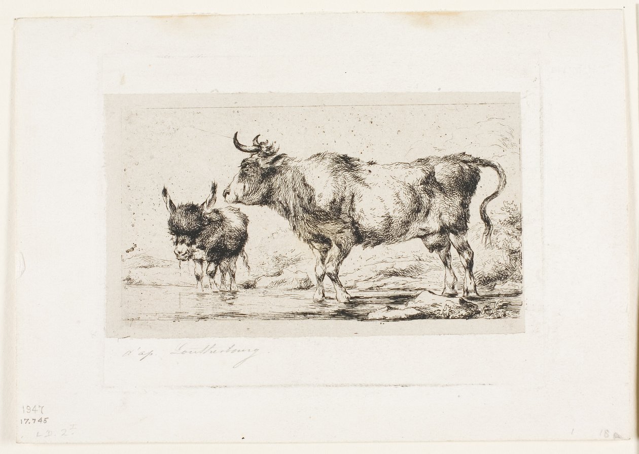 A vaca e o burro de Charles Meryon