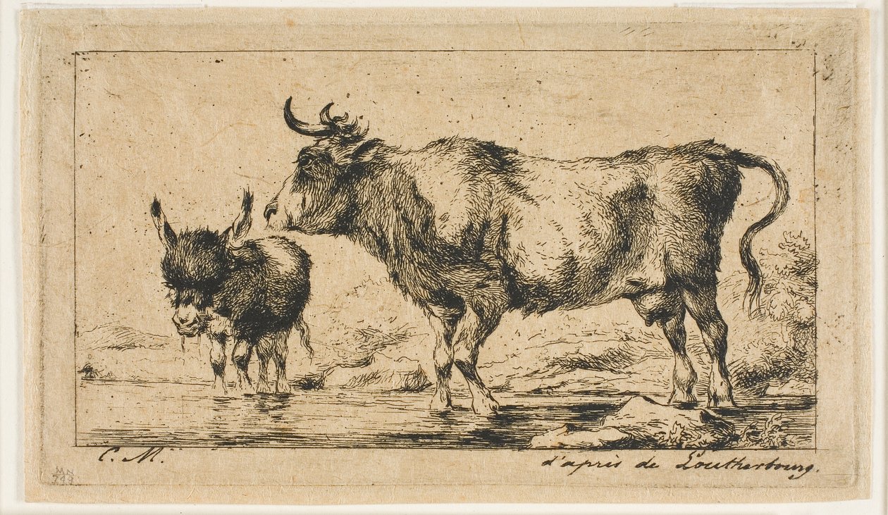 A vaca e o burro de Charles Meryon