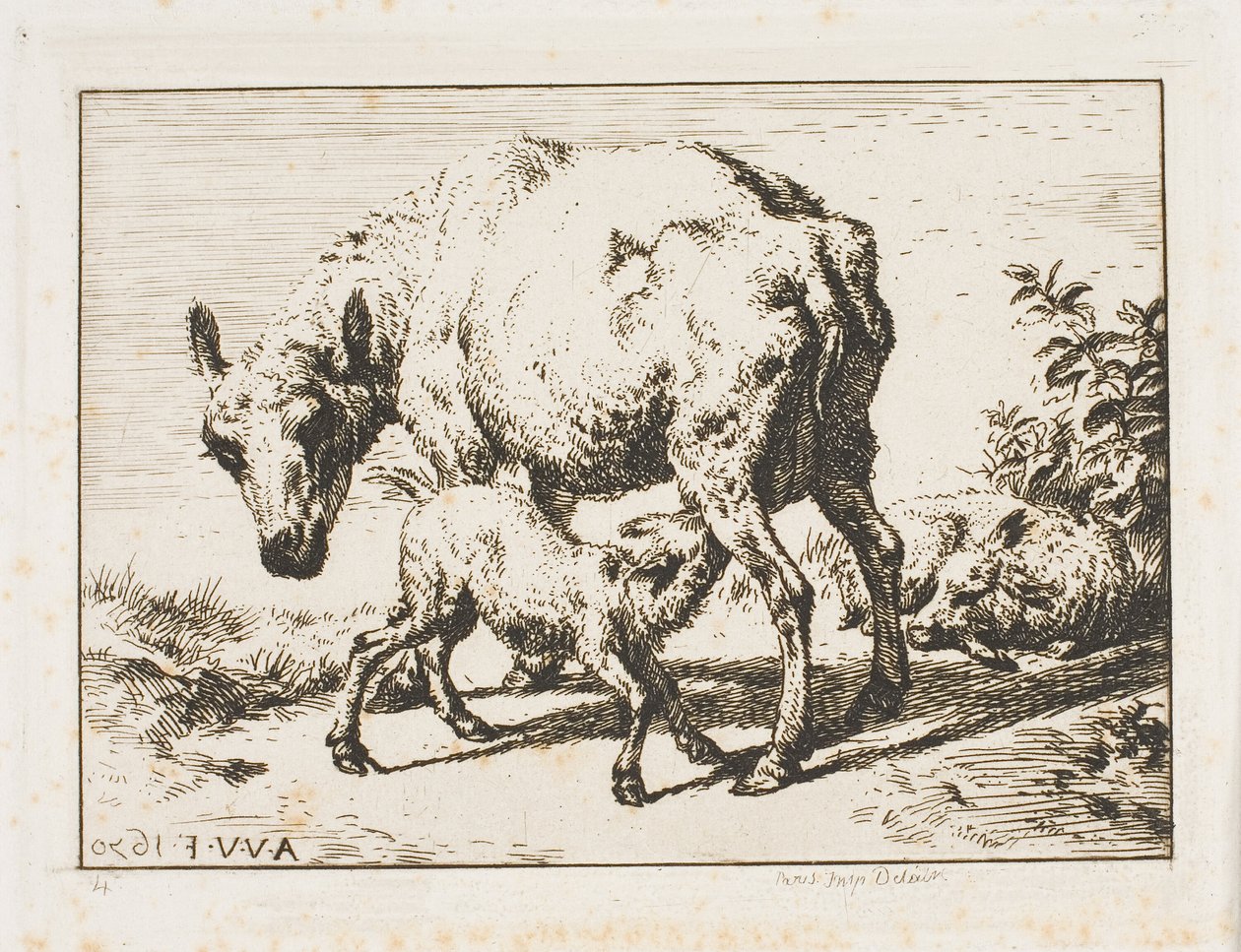 A ovelha com dois cordeiros de Charles Meryon
