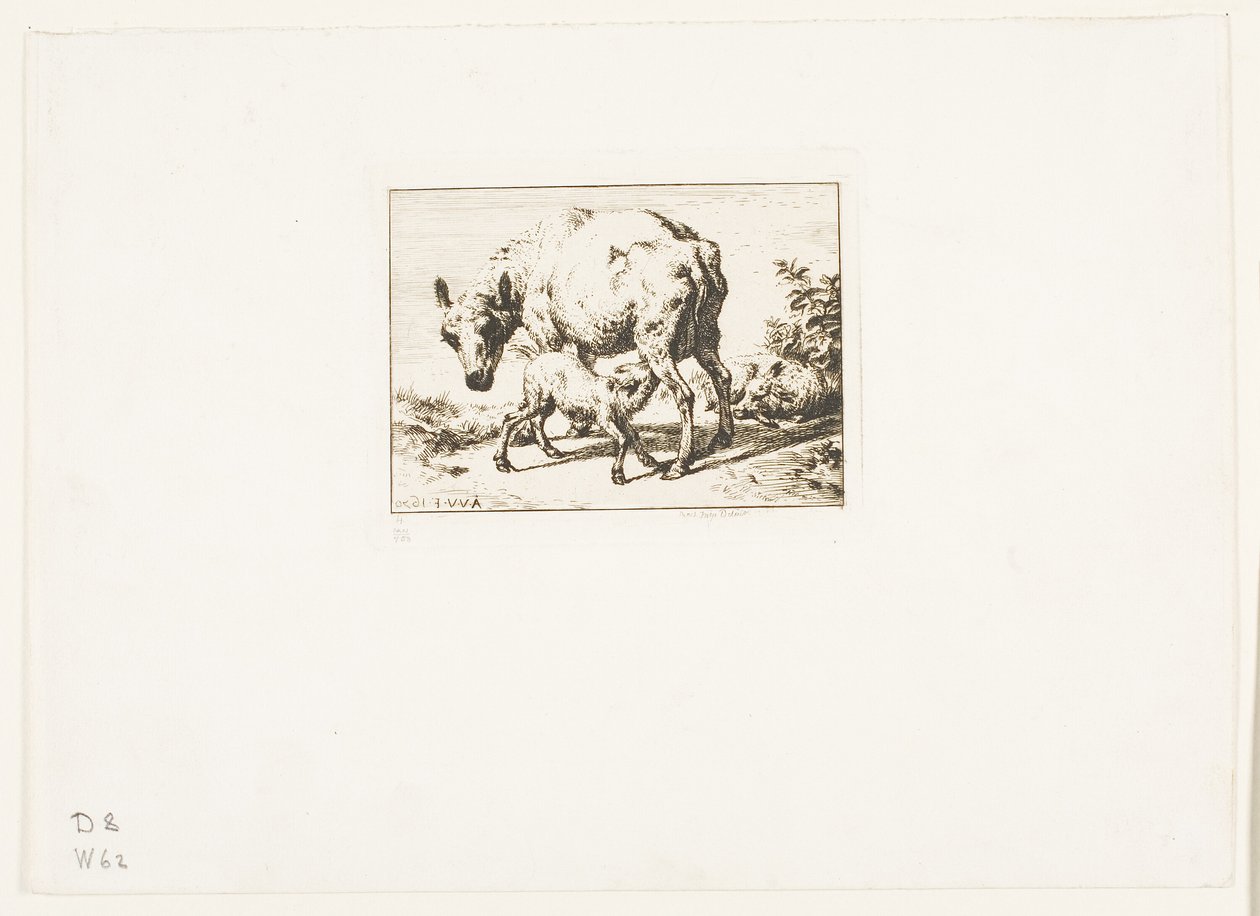 A ovelha com dois cordeiros de Charles Meryon