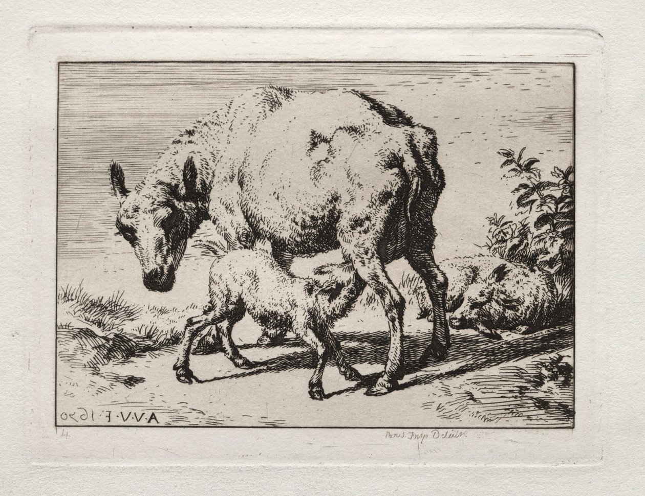 A ovelha com dois cordeiros, 1850. de Charles Meryon