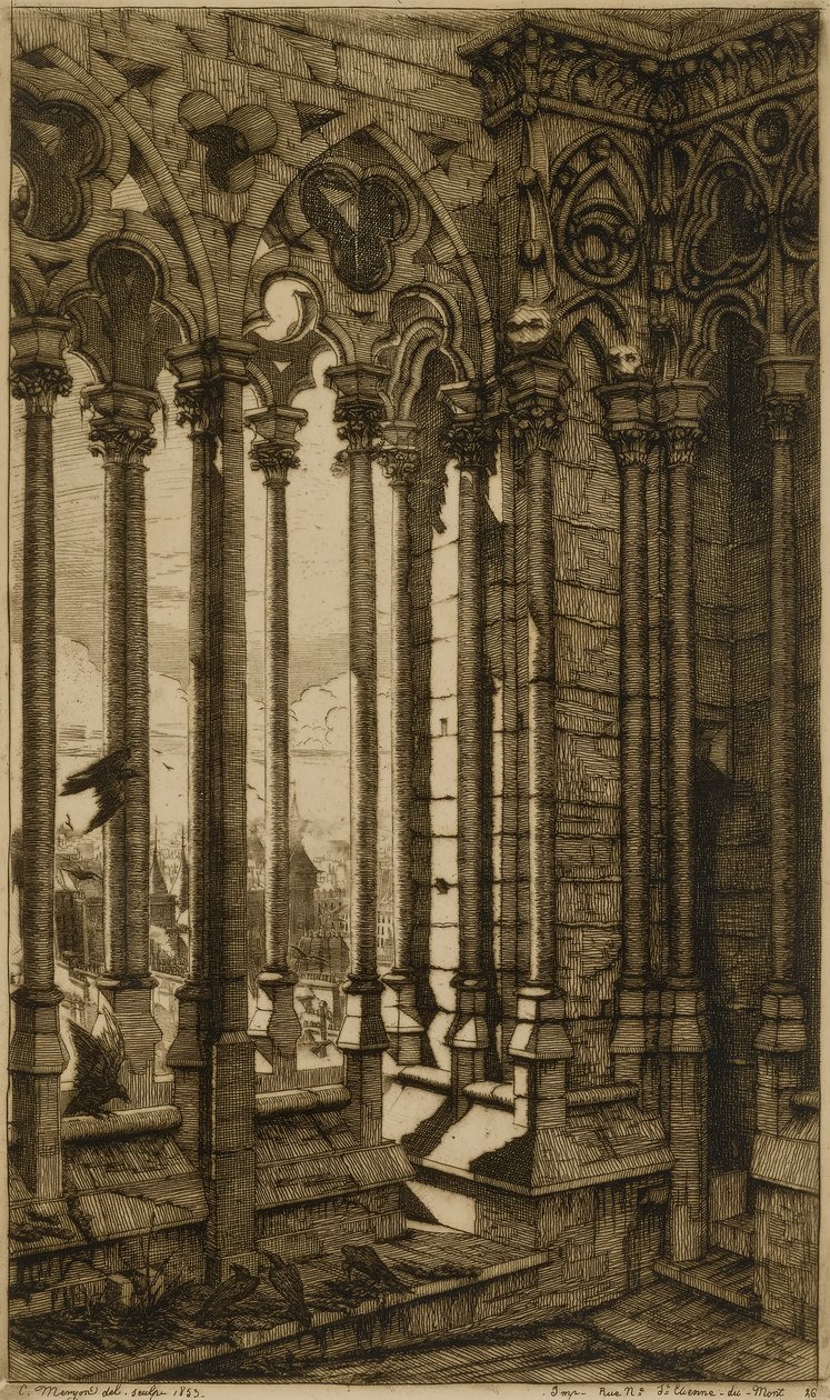 A Galeria, Notre Dame de Paris de Charles Meryon