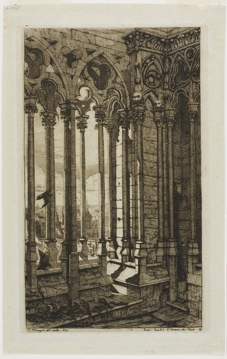 A Galeria de Notre-Dame, Paris de Charles Meryon
