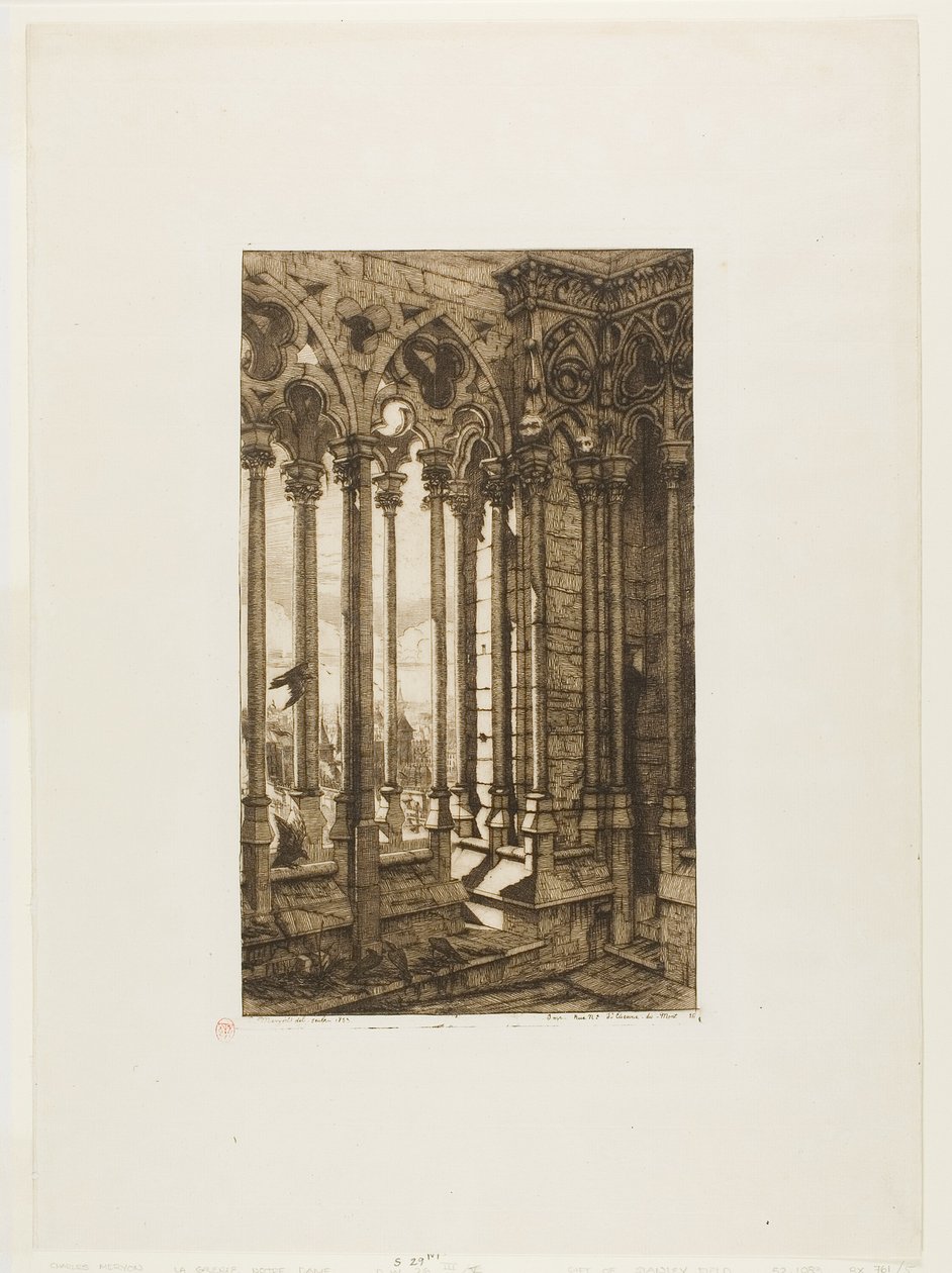 A Galeria de Notre-Dame, Paris de Charles Meryon