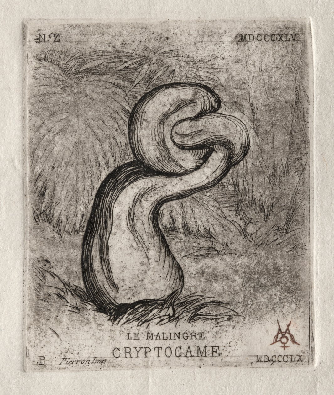 O Cryptogam doentio de Charles Meryon