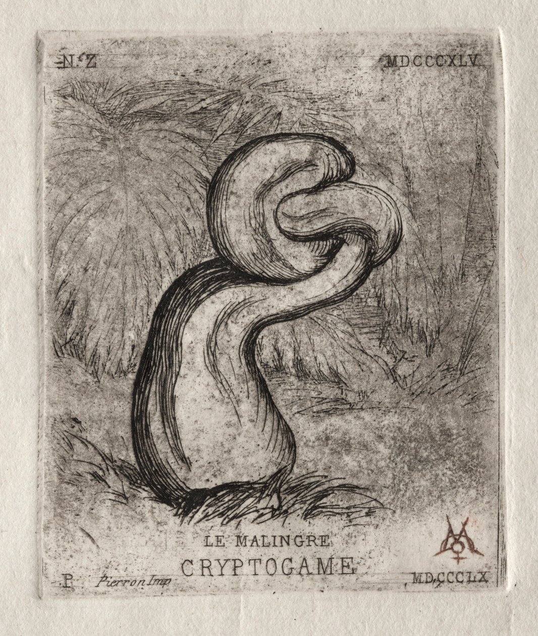 O Criptograma Doentio, 1860. de Charles Meryon