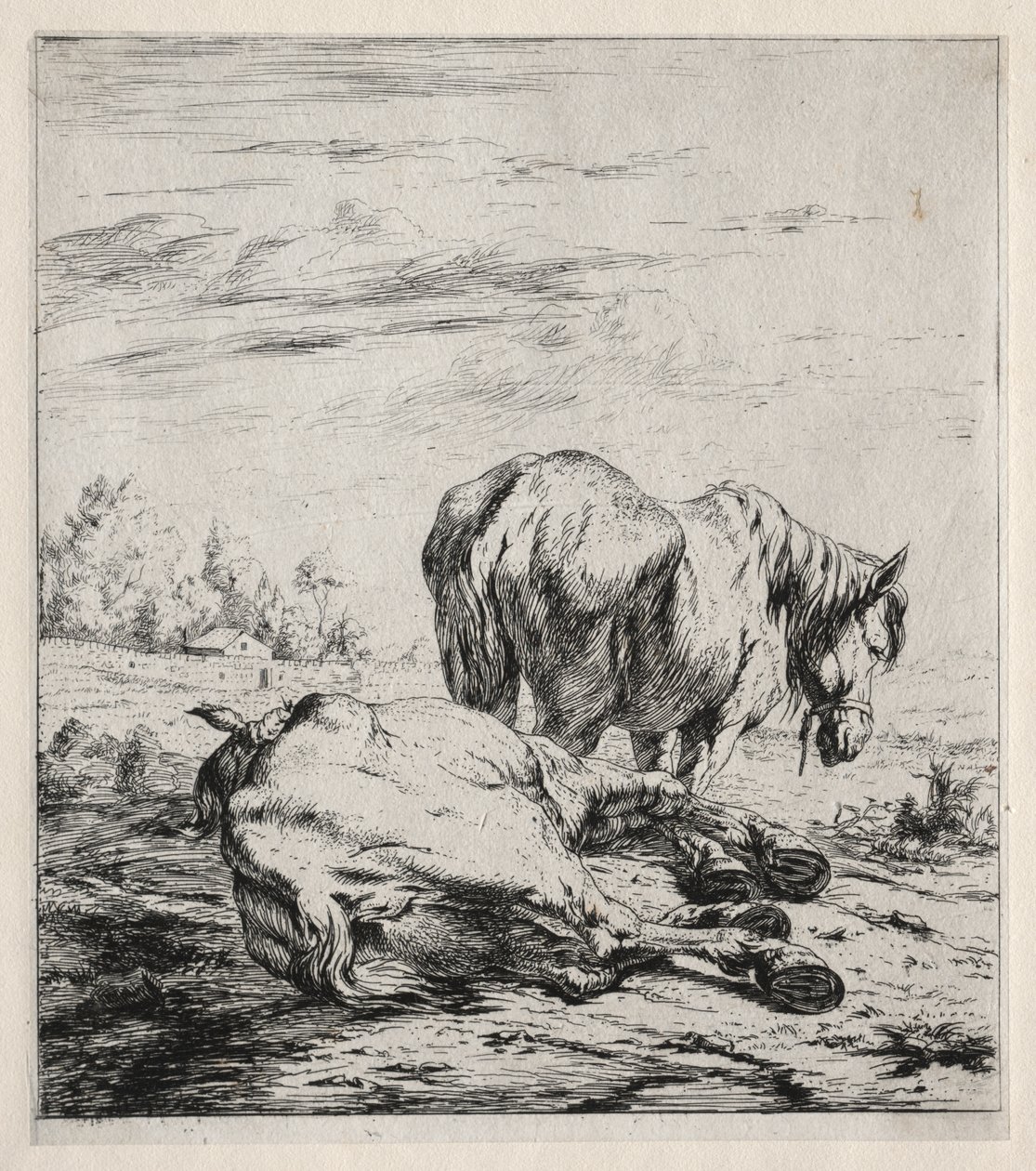 Os dois cavalos de Charles Meryon