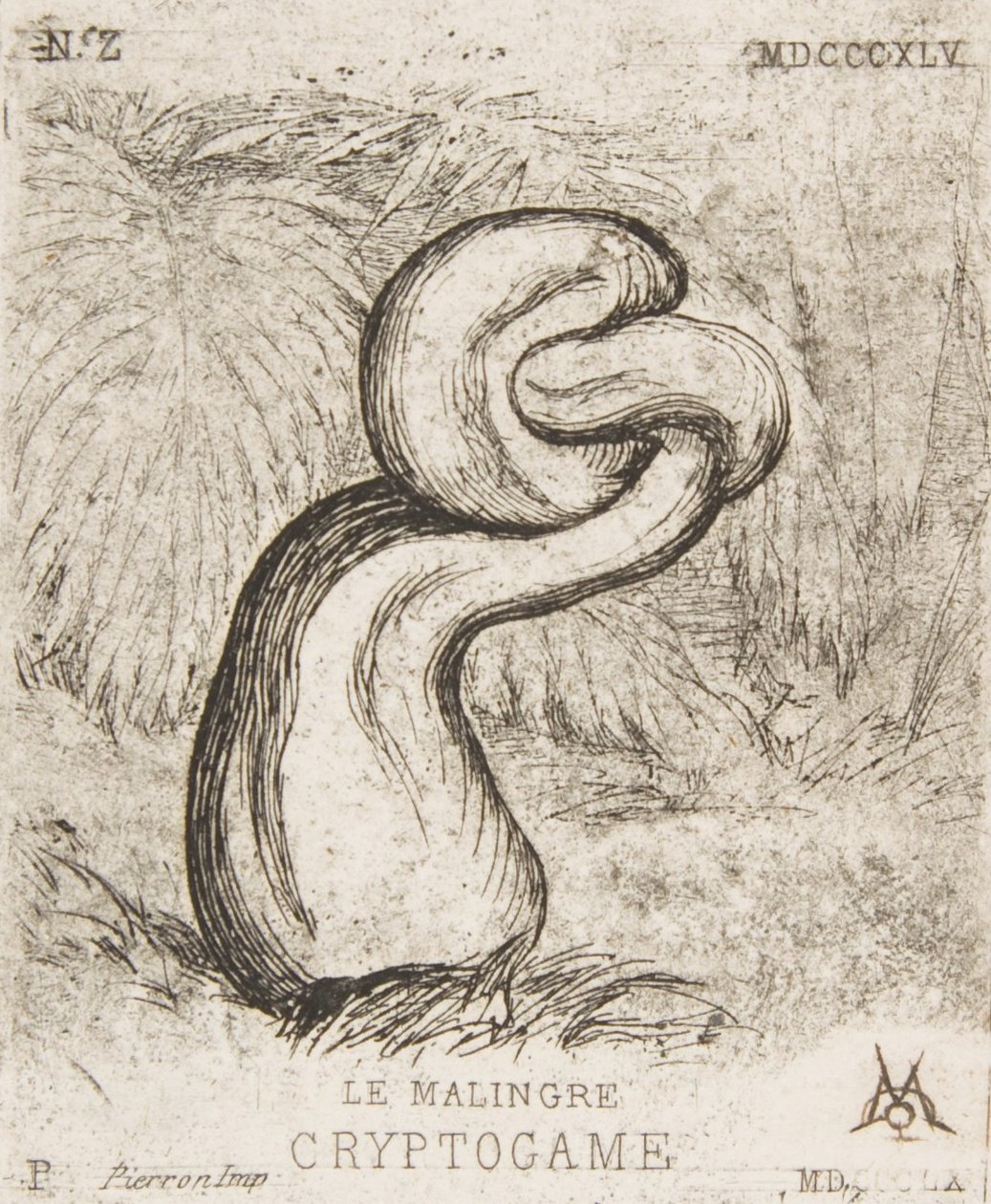 A insignificante Criptogamia, 1860. de Charles Meryon