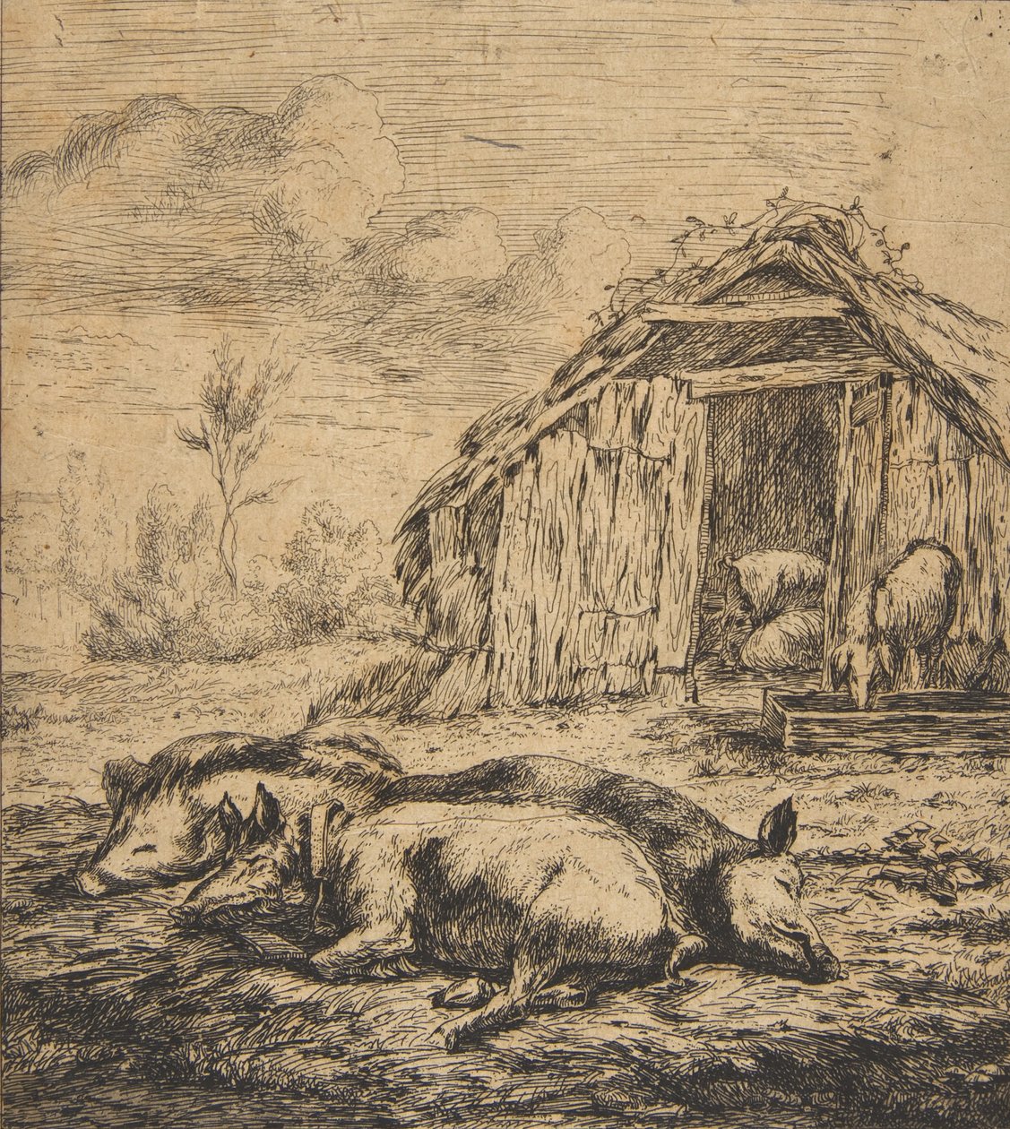 Três porcos deitados na frente de um galpão, 1850. de Charles Meryon