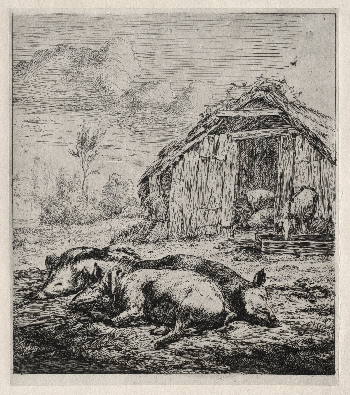 Três porcos na frente de um chiqueiro, 1850. de Charles Meryon