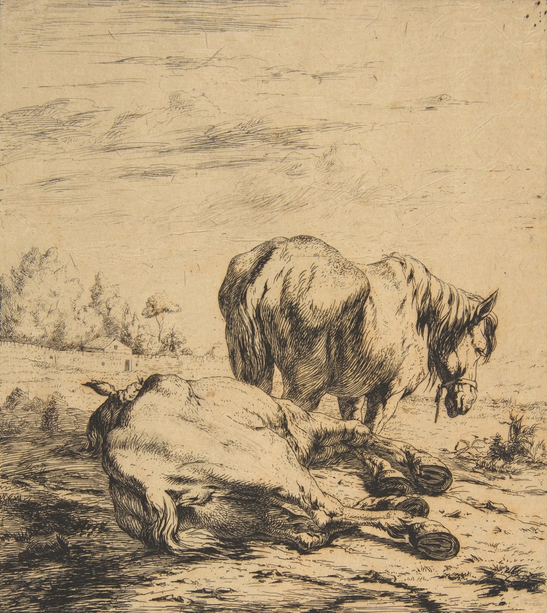 Dois Cavalos, 1850. de Charles Meryon