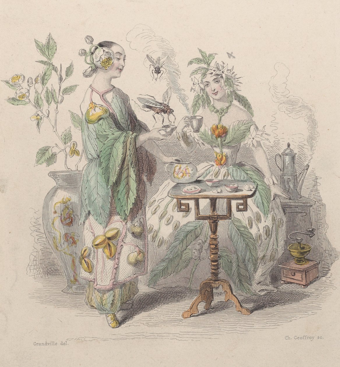Floresta. de Charles Michel Geoffroy
