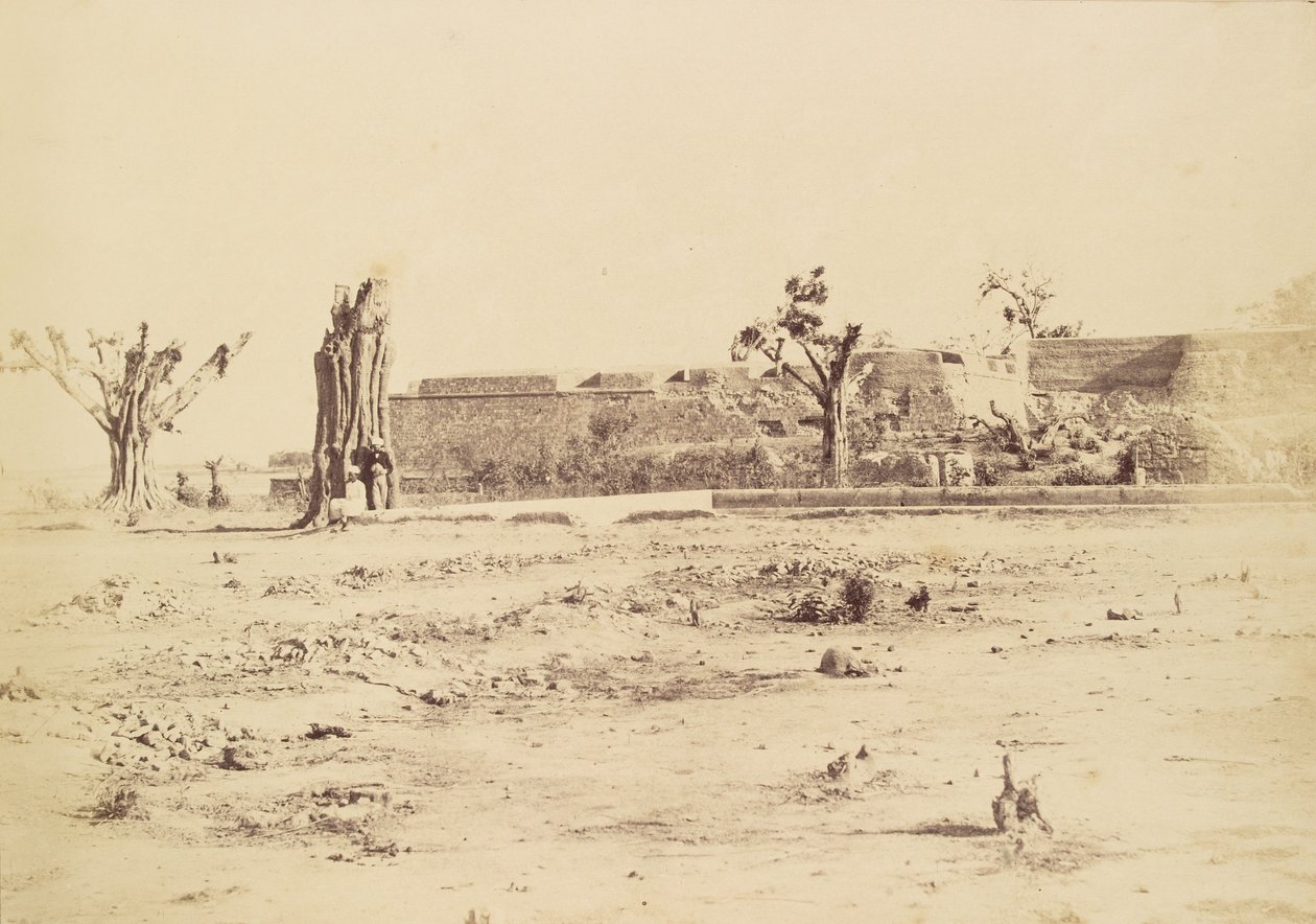 [Paisagem árida com uma fortaleza não identificada, Deli]. de Charles Moravia