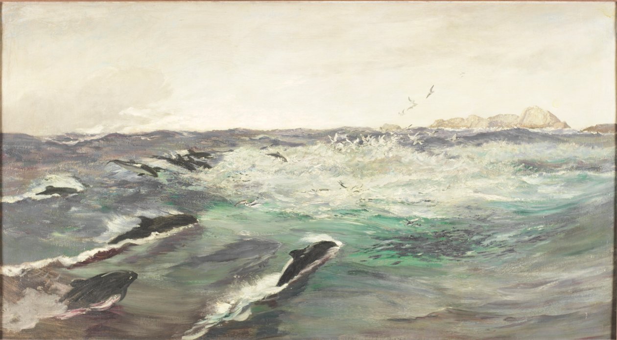 Toninhas Chasing Cavala de Charles Napier Hemy