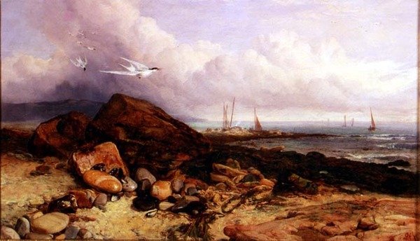 Cena da Costa com Barco de Pesca e Andorinhas-do-mar de Charles Napier Hemy