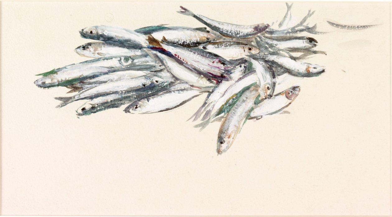 Estudo de Peixe (bodycolour e aquarela sobre papel) de Charles Napier Hemy