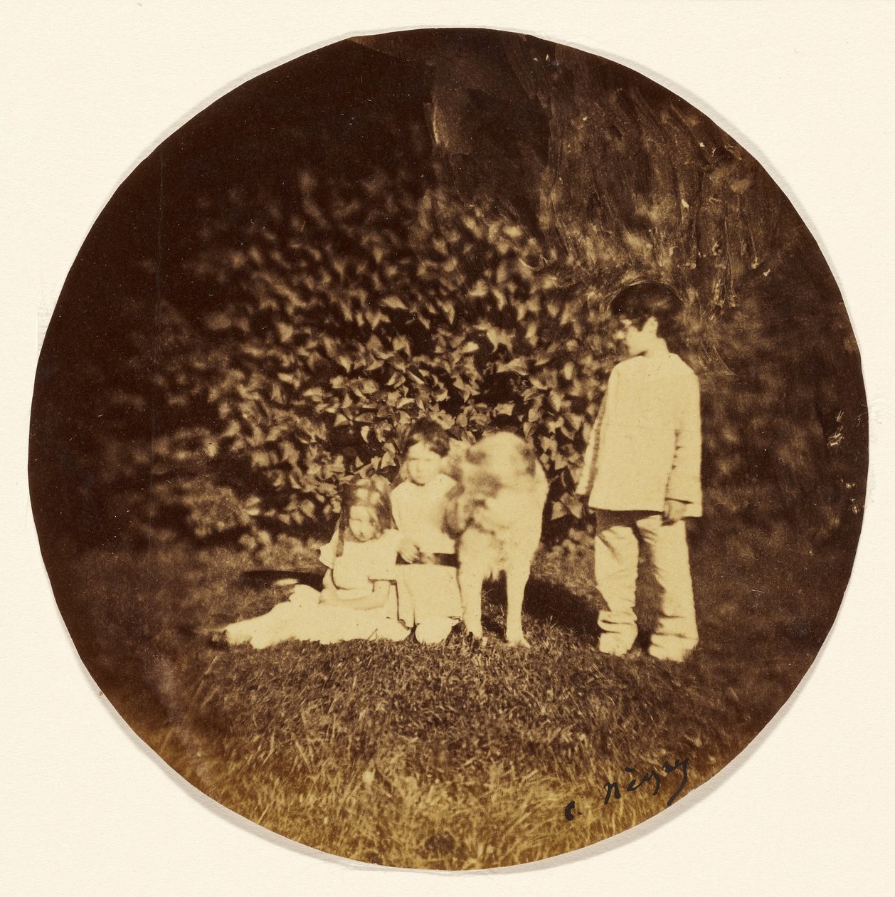 [Três crianças pequenas e um cão num jardim] de Charles Nègre