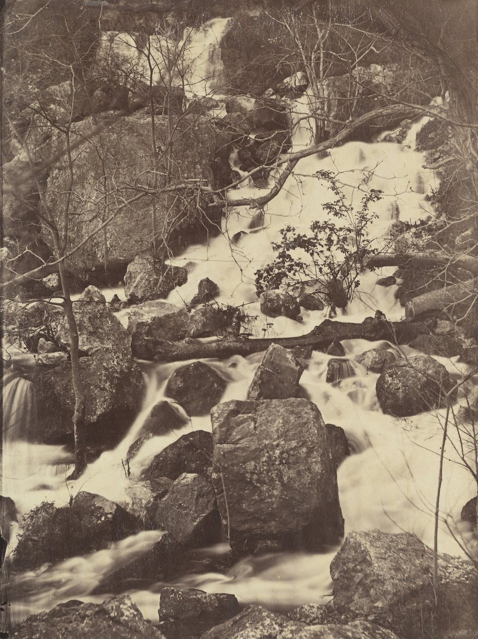 [Árvores e Cachoeiras], 1860-65. de Charles Nègre