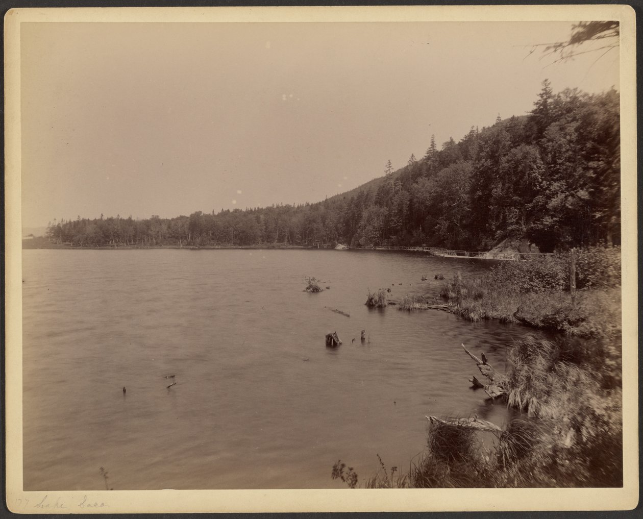 Lago Saco de Charles P. Hibbard