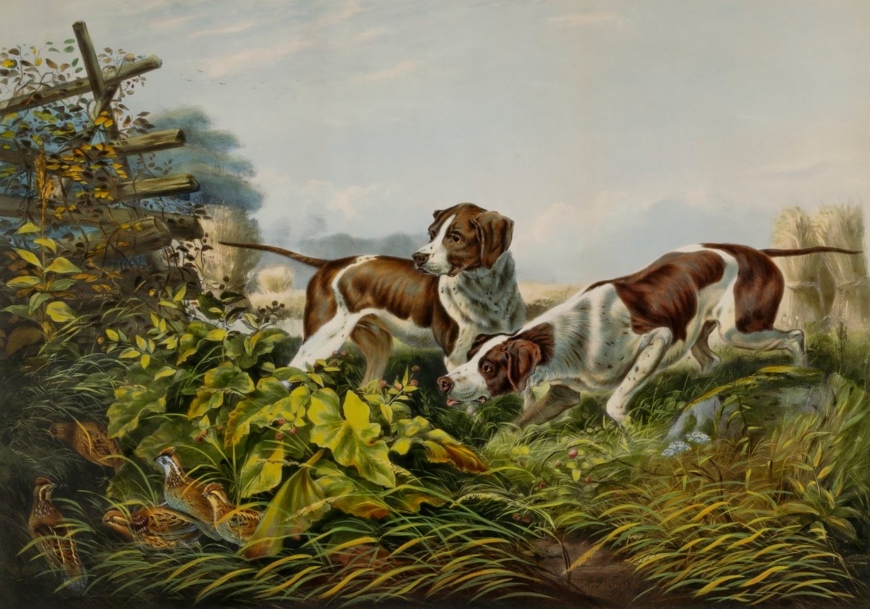 Desportos de campo americanos. "Num ponto". de Charles Parsons