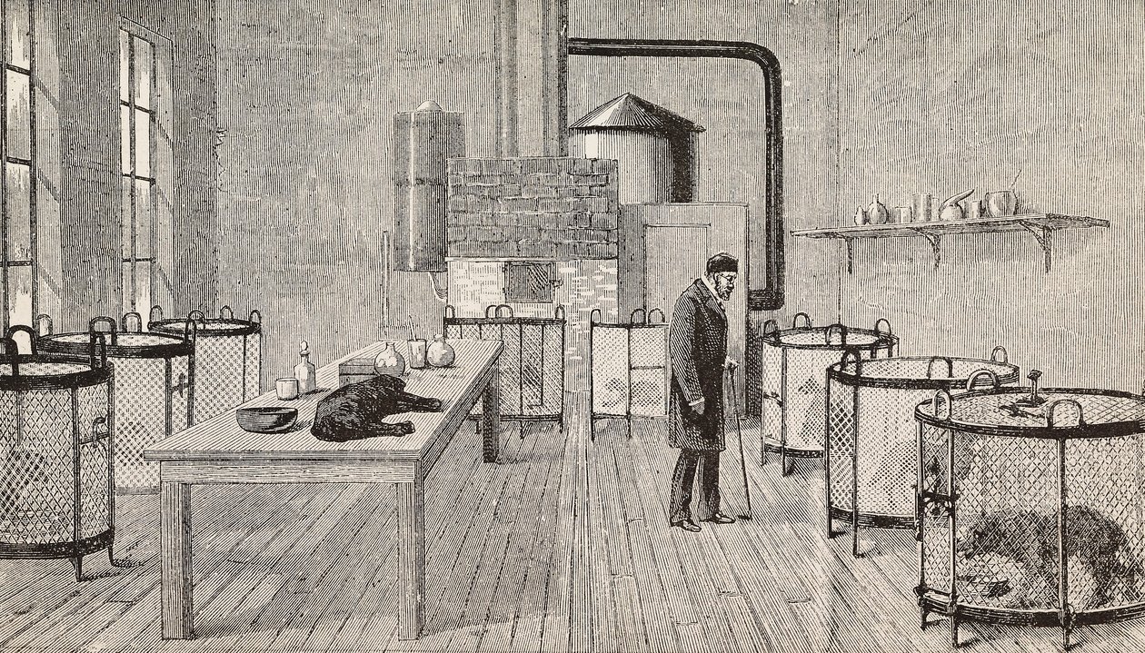Cães em gaiolas no laboratório de Louis Pasteur (1822-1895), químico e biólogo francês, Paris, França, gravura de L