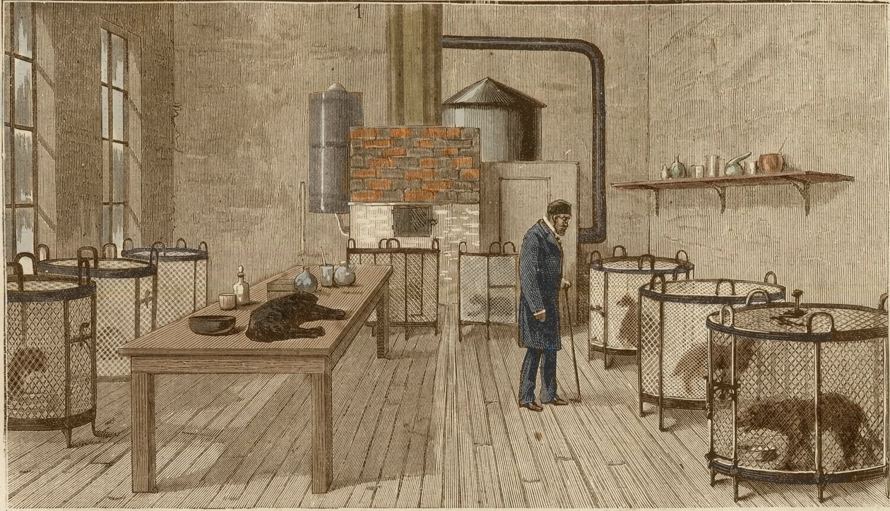 Cães em gaiolas dentro do laboratório de Louis Pasteur de Charles Paul Renouard