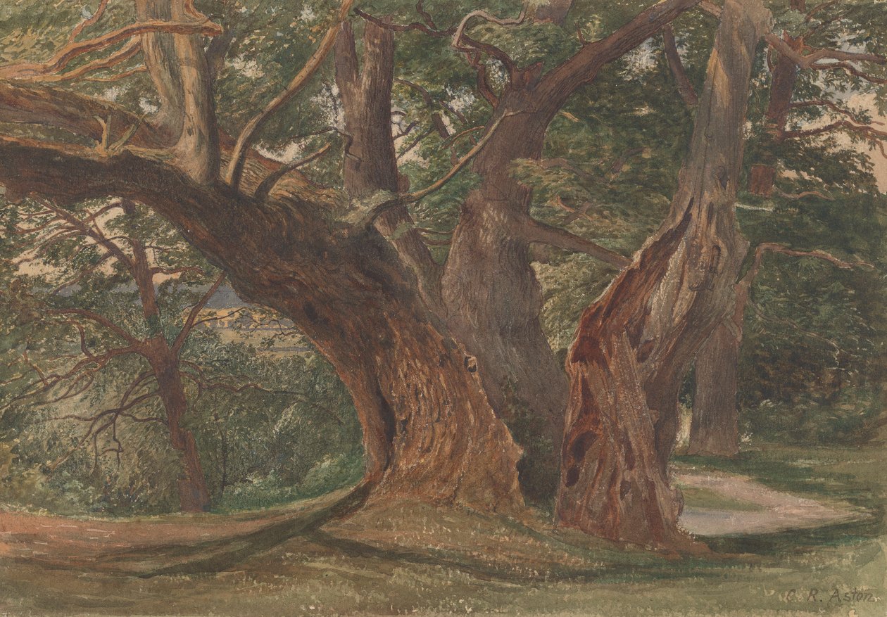 Árvores numa Paisagem de Charles Reginald Aston