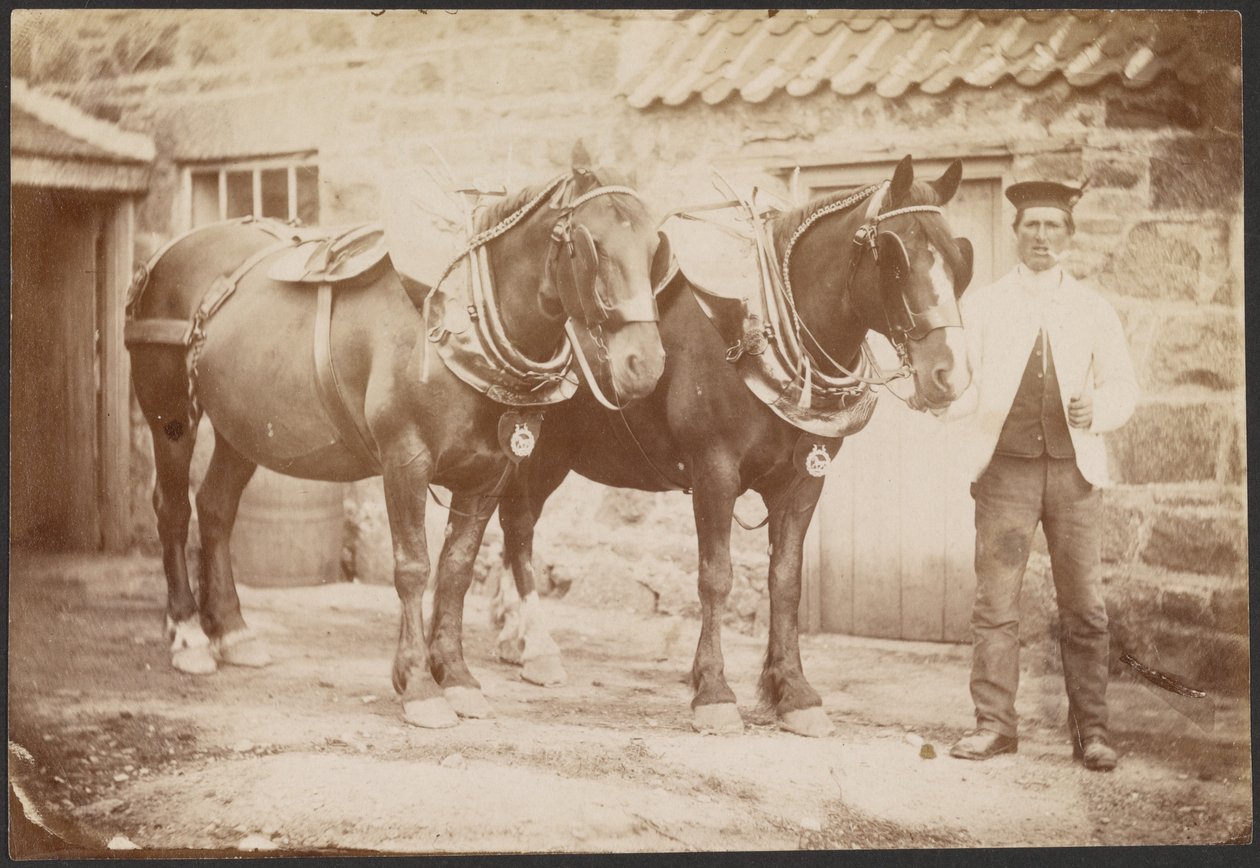 [Homem com dois cavalos]. de Charles Reid