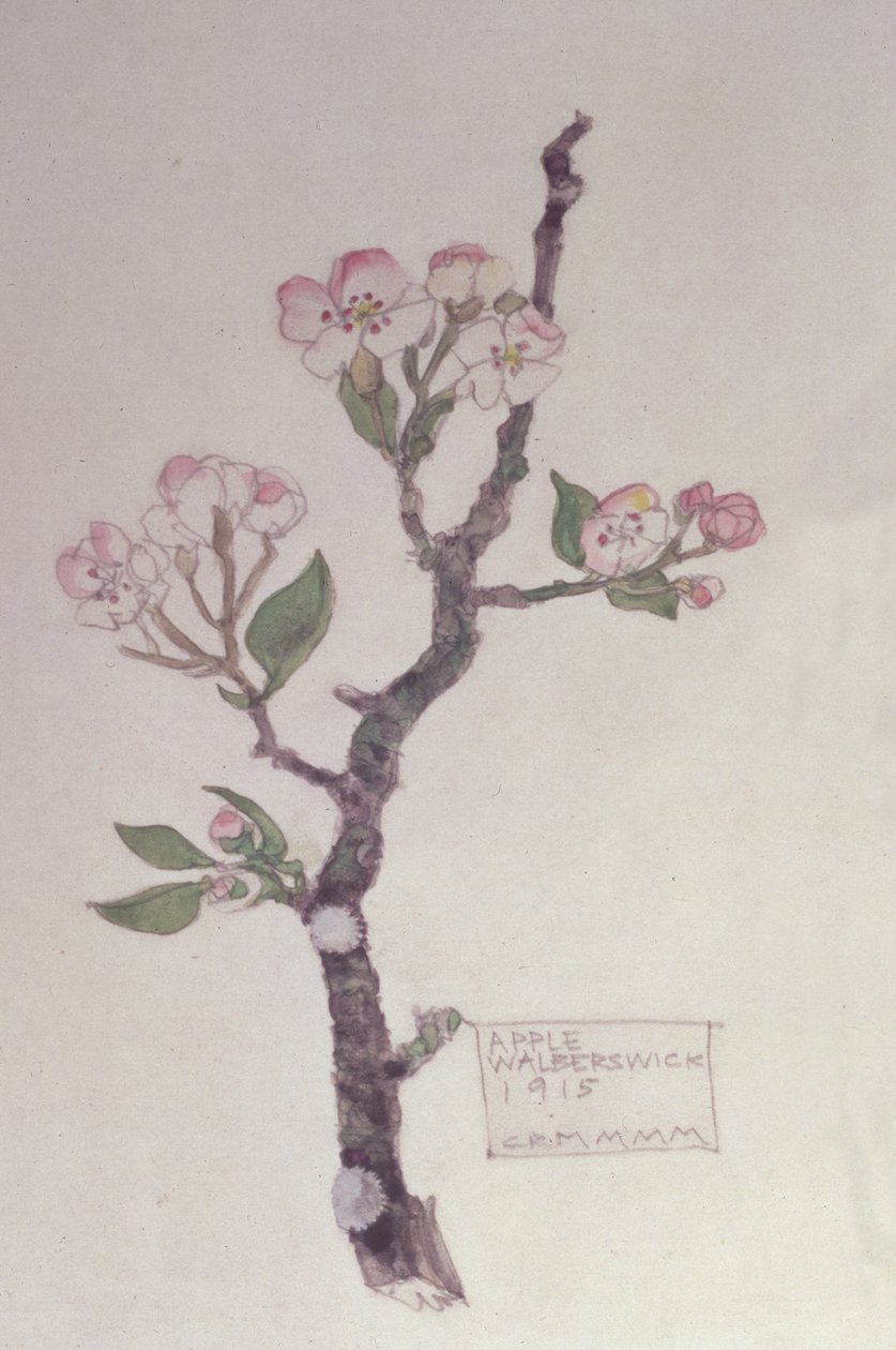 Apple, Walberswick, 1915 (lápis e wc) de Charles Rennie Mackintosh