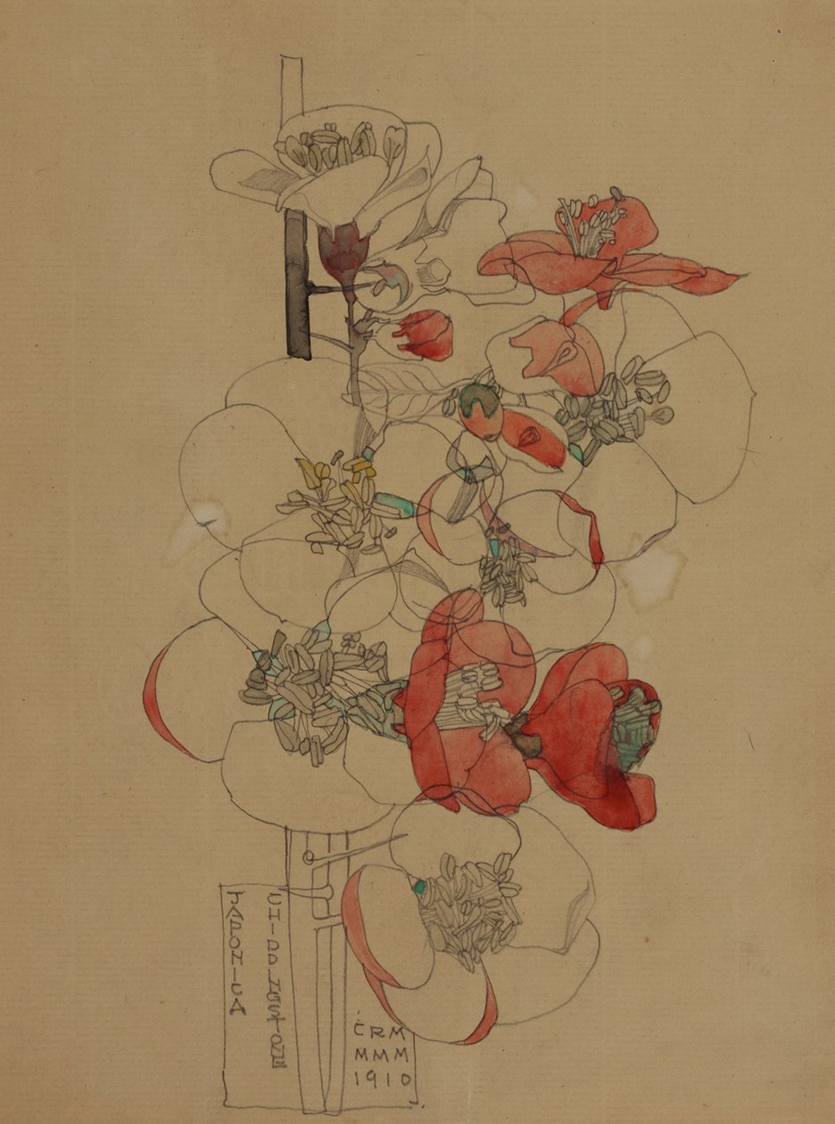 Japónica de Charles Rennie Mackintosh
