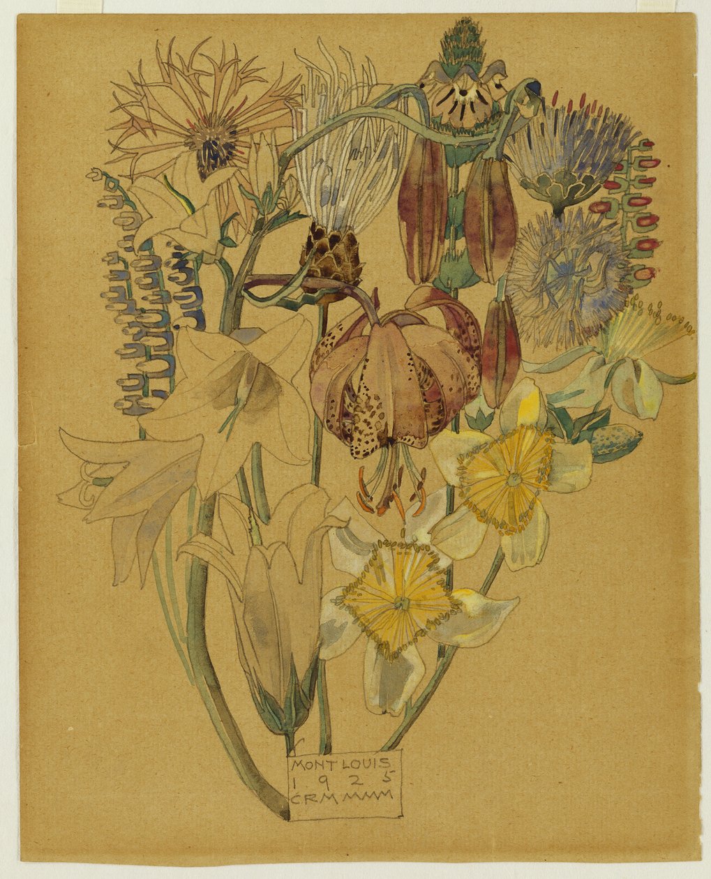 Mont Louis - Estudo das Flores, 1925 de Charles Rennie Mackintosh