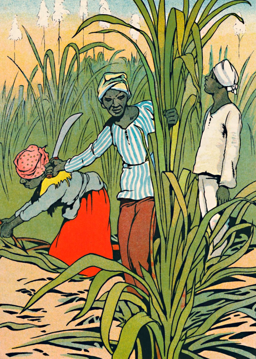 No trabalho entre os canaviais, 1912 de Charles Robinson