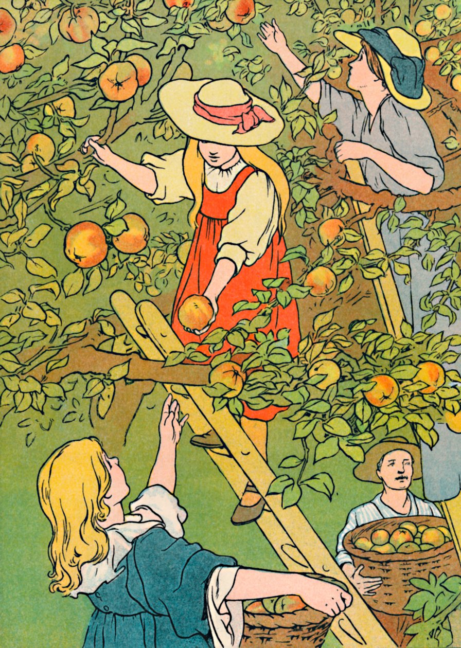 Colhendo os Frutos, 1912 de Charles Robinson
