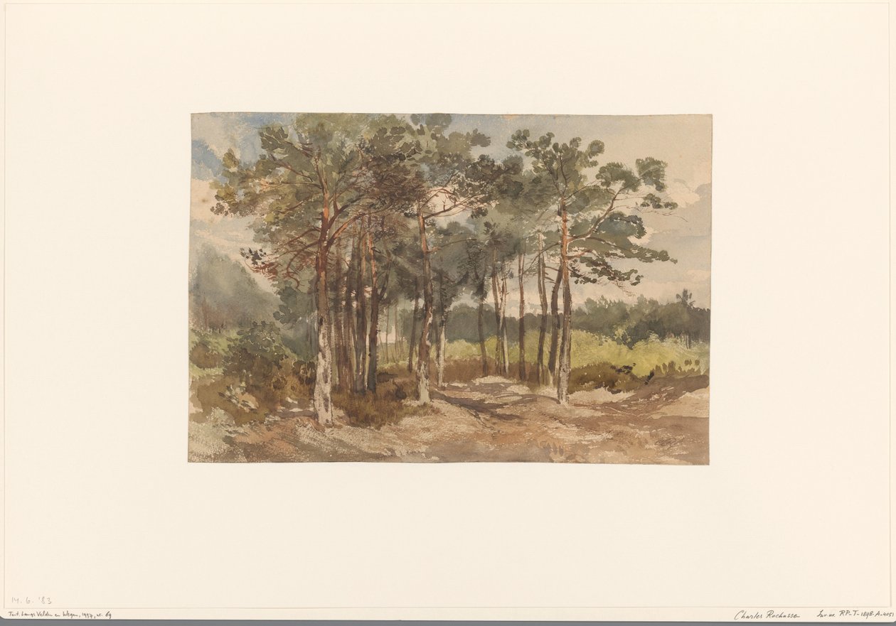 Grupo de árvores na floresta perto de Driebergen de Charles Rochussen