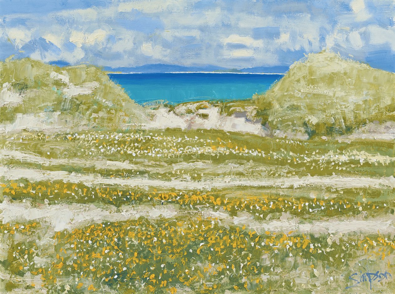 Vislumbre de Harris, 2014 (óleo sobre tela) de Charles Simpson
