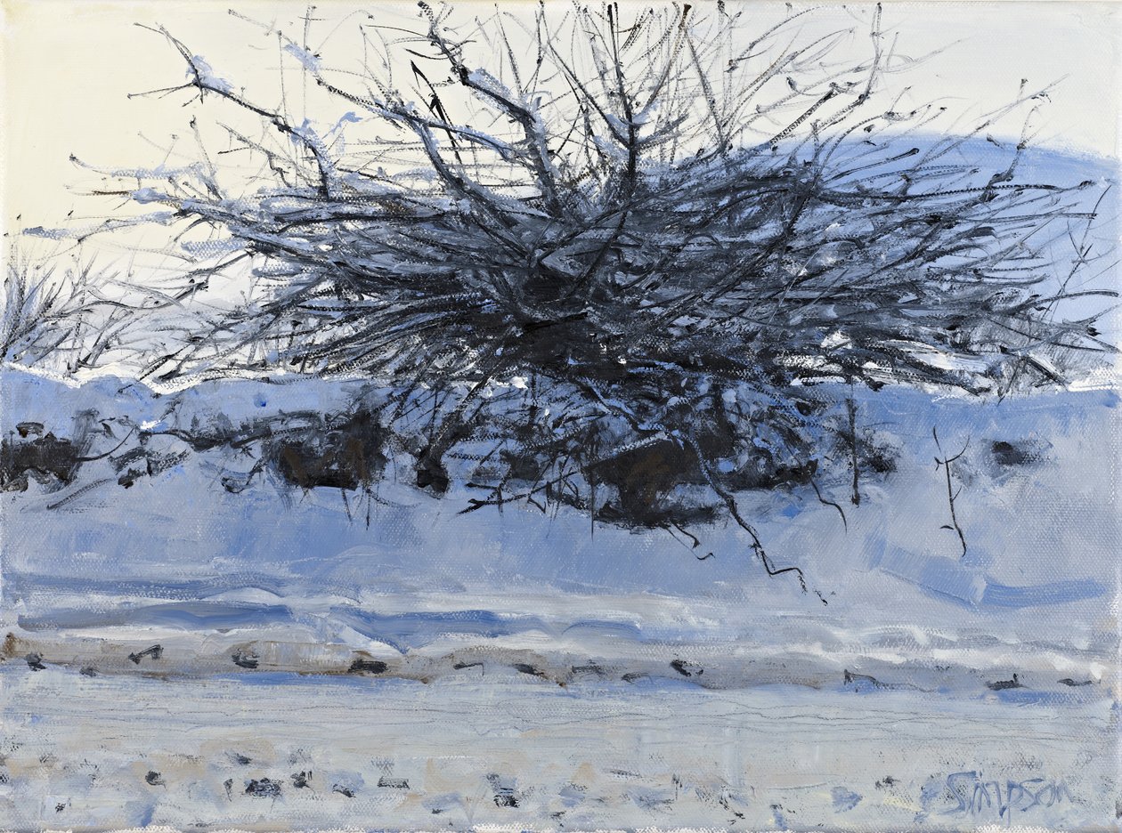 Hawthorn, 2011 (óleo sobre tela) de Charles Simpson