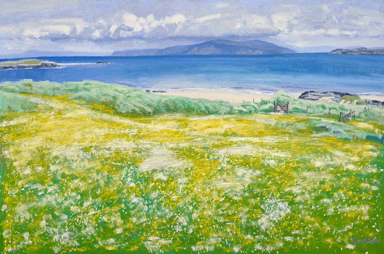 Machair, North End Iona, 2015 (óleo sobre tela) de Charles Simpson