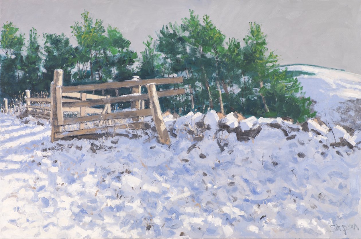 Small Wood, Torwoodlee, 2017 (óleo sobre tela) de Charles Simpson