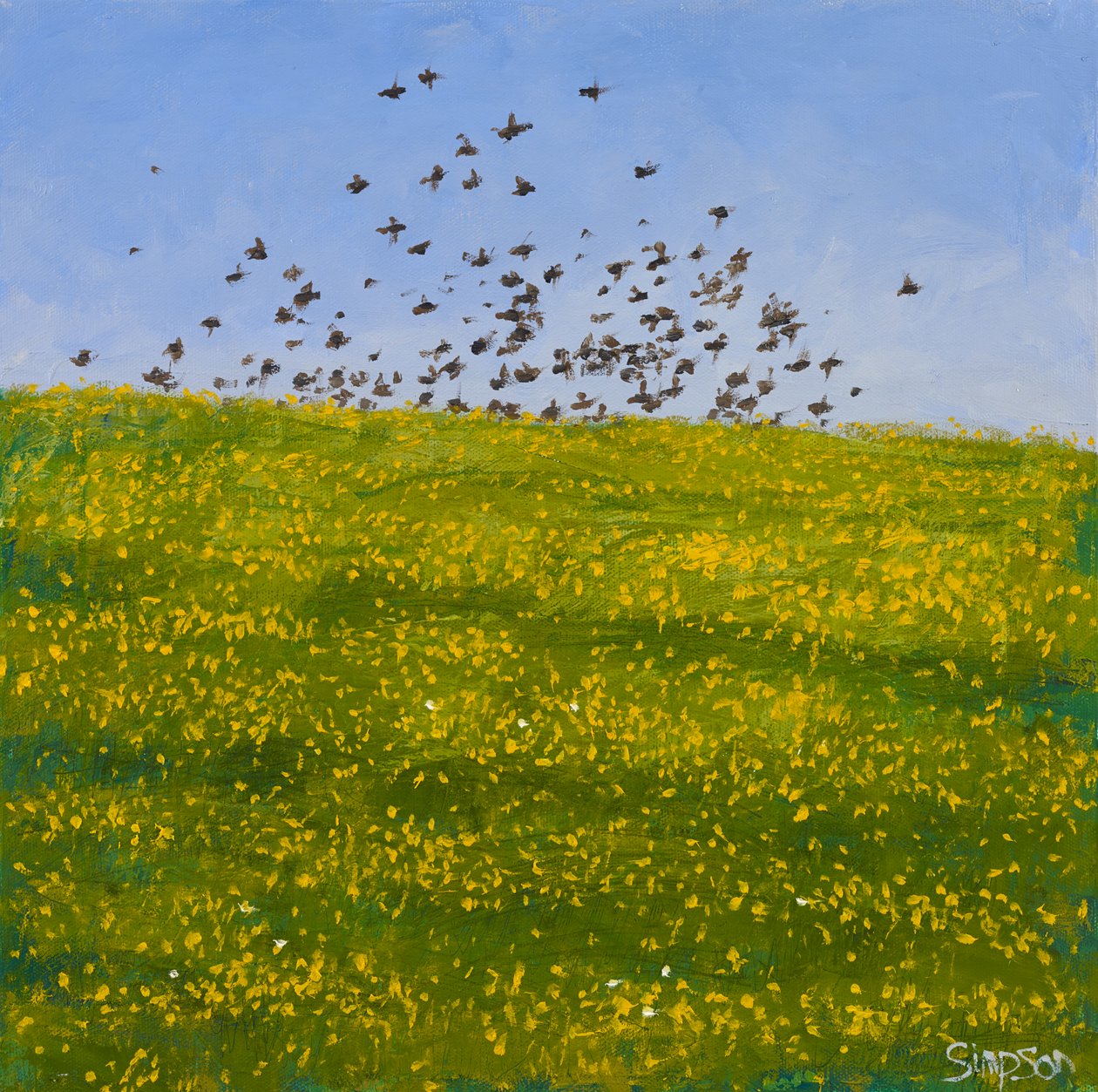Estorninhos e ranúnculos, Iona, 2015 (óleo sobre tela) de Charles Simpson