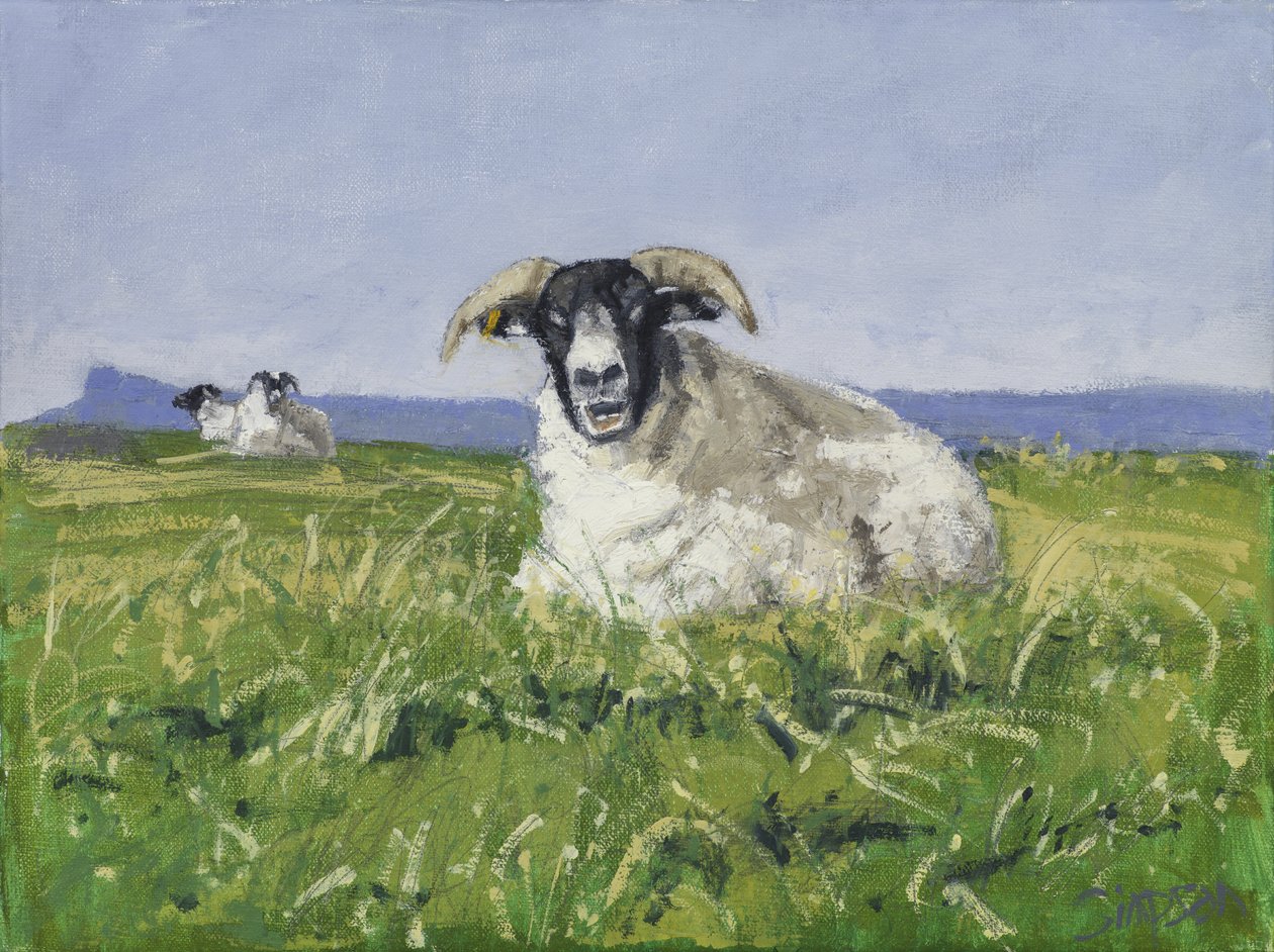 Ovelha da Costa Oeste, 2017 (óleo sobre tela) de Charles Simpson