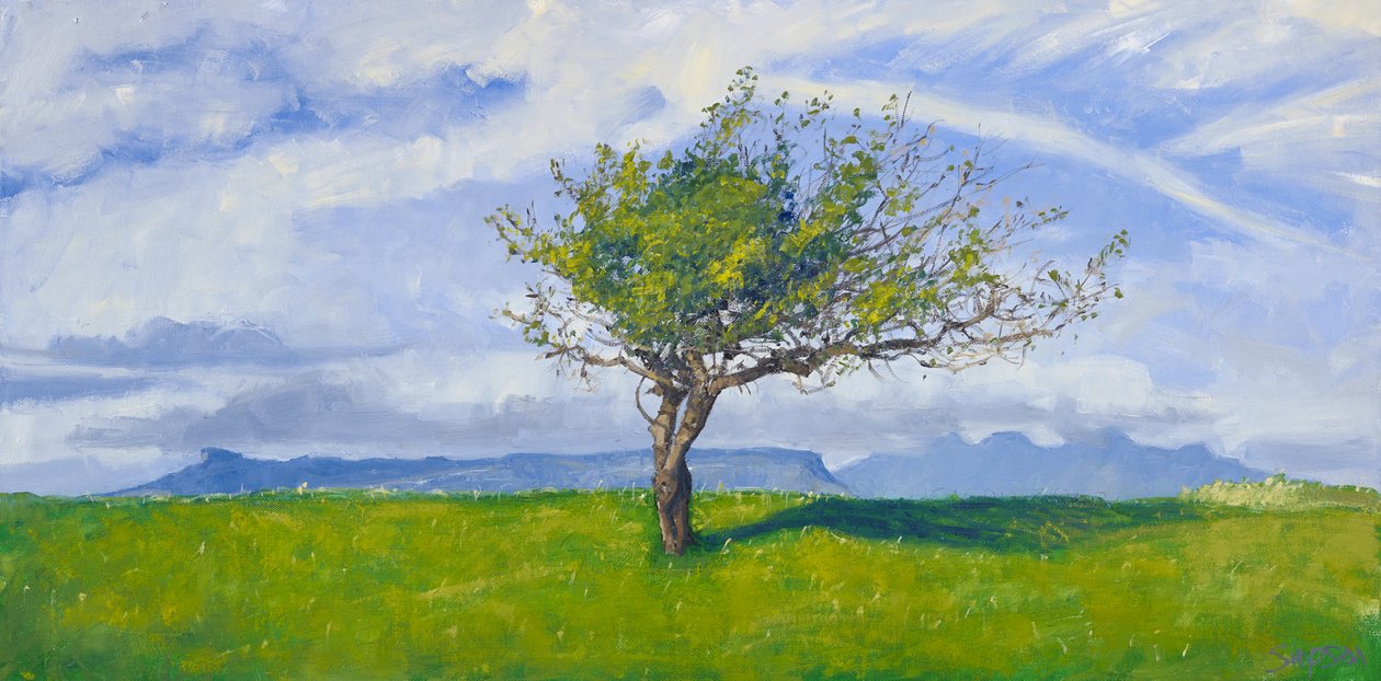 Árvore da Costa Oeste, 2015 (óleo sobre tela) de Charles Simpson