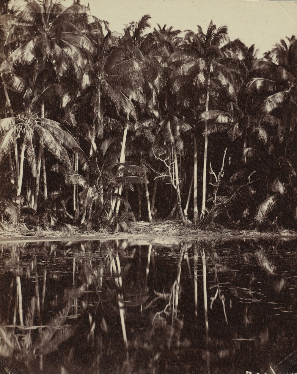 Tetiaroa - Uma lagoa de Paumotu, década de 1880 ou 1890. de Charles Spitz