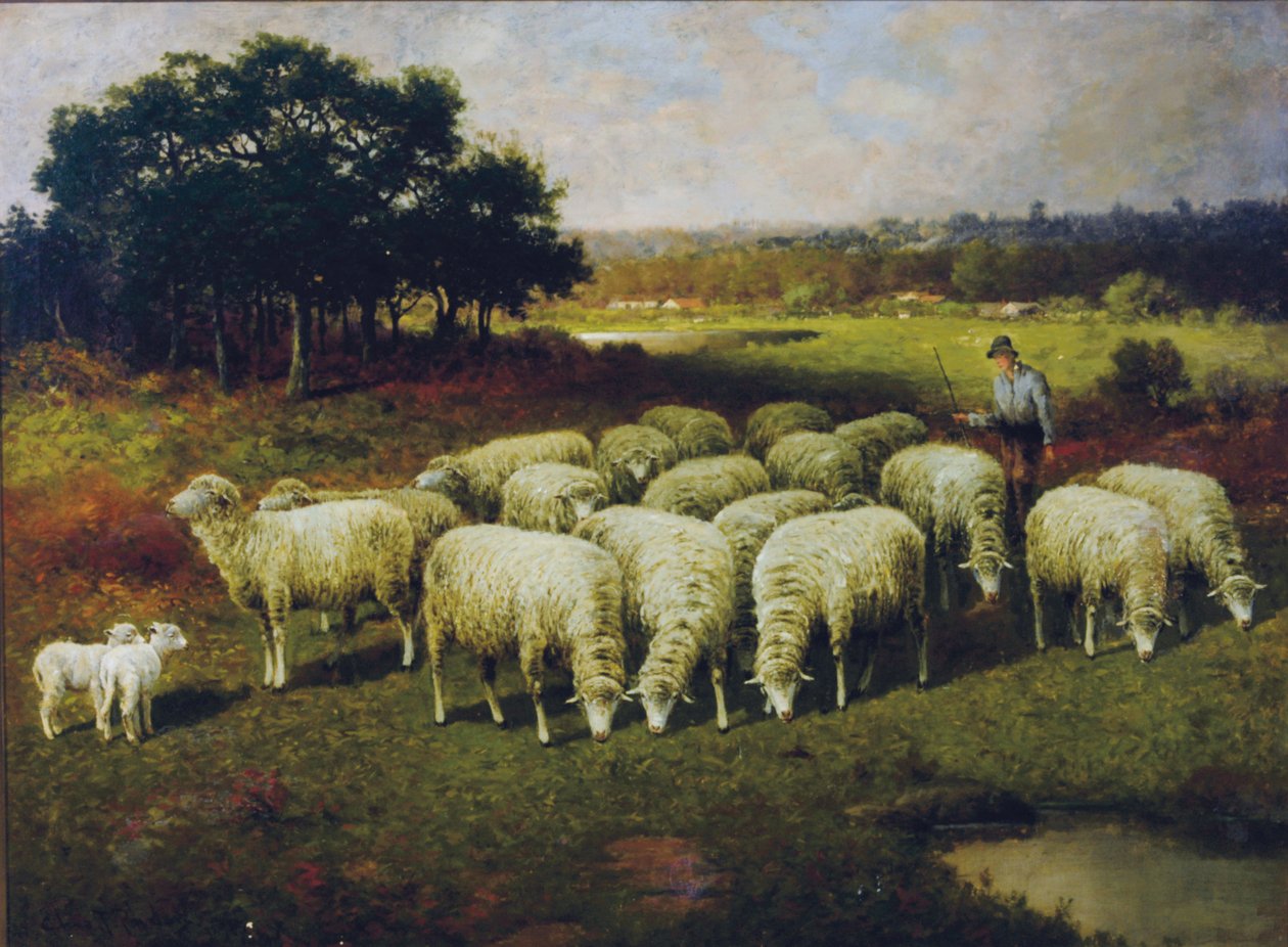 Um pastor com suas ovelhas no campo, 1898 de Charles T. Phelan