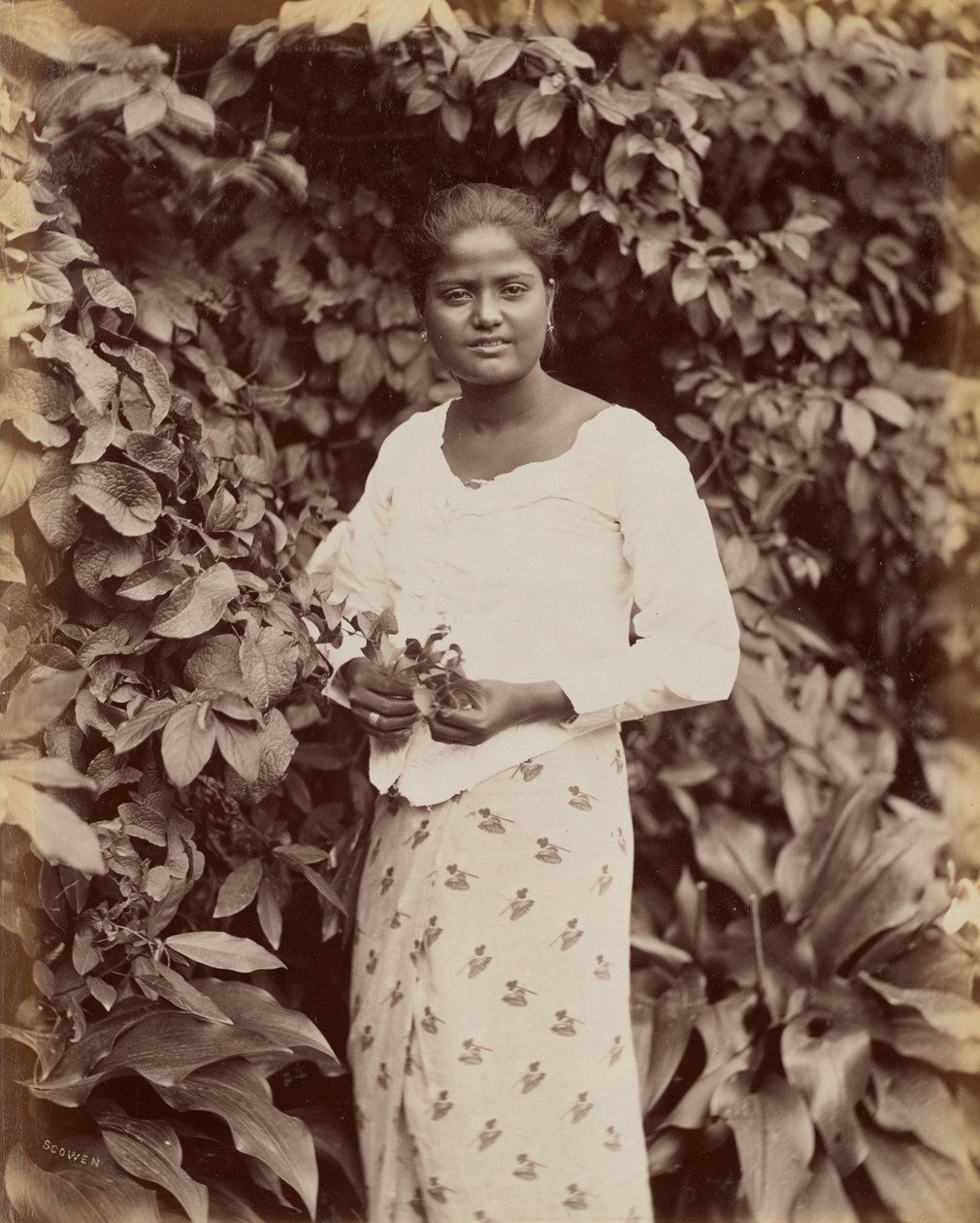 cingalês de Charles T. Scowen