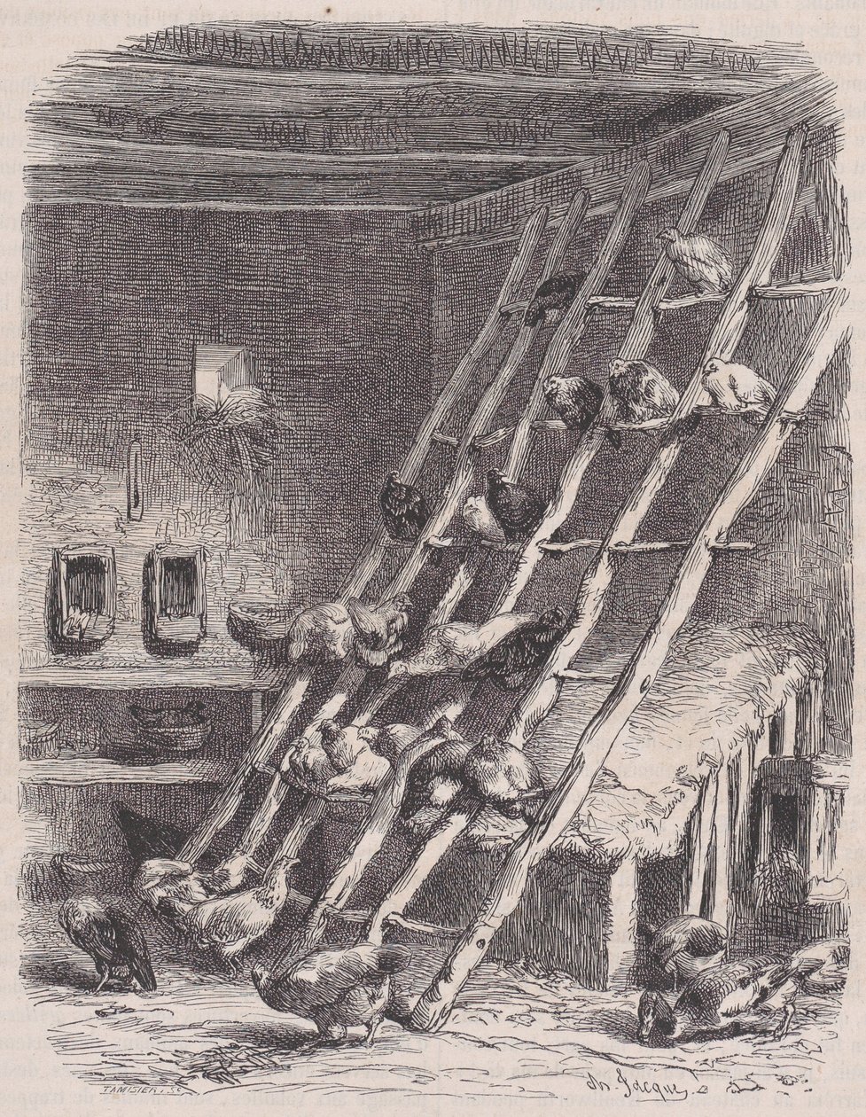 Visita a uma Fazenda - The Roost, de Le Magasin Pittoresque, ca. 1852. de Charles Tamisier