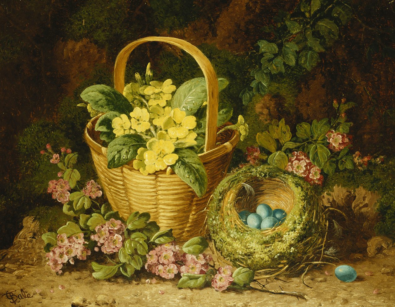Prímulas em uma cesta, Japonica e um ninho de pássaro, de Charles Thomas Bale
