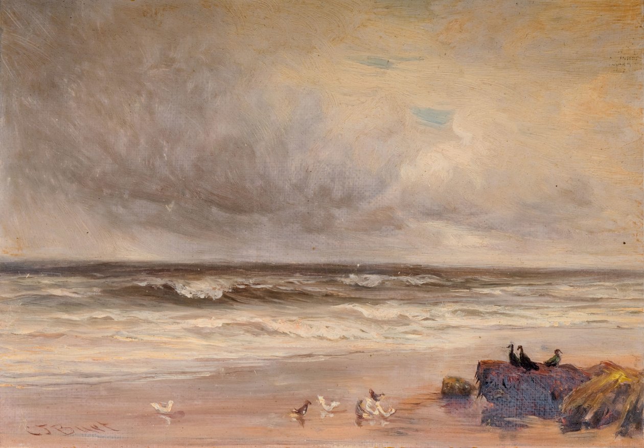 Costa do Mar, 1887. de Charles Thomas Burt