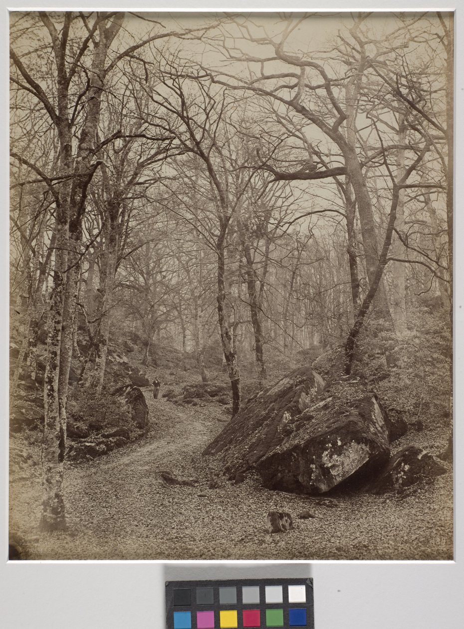 Fontainebleau, c.1870 (impressão de albumen) de Charles Victor Famin